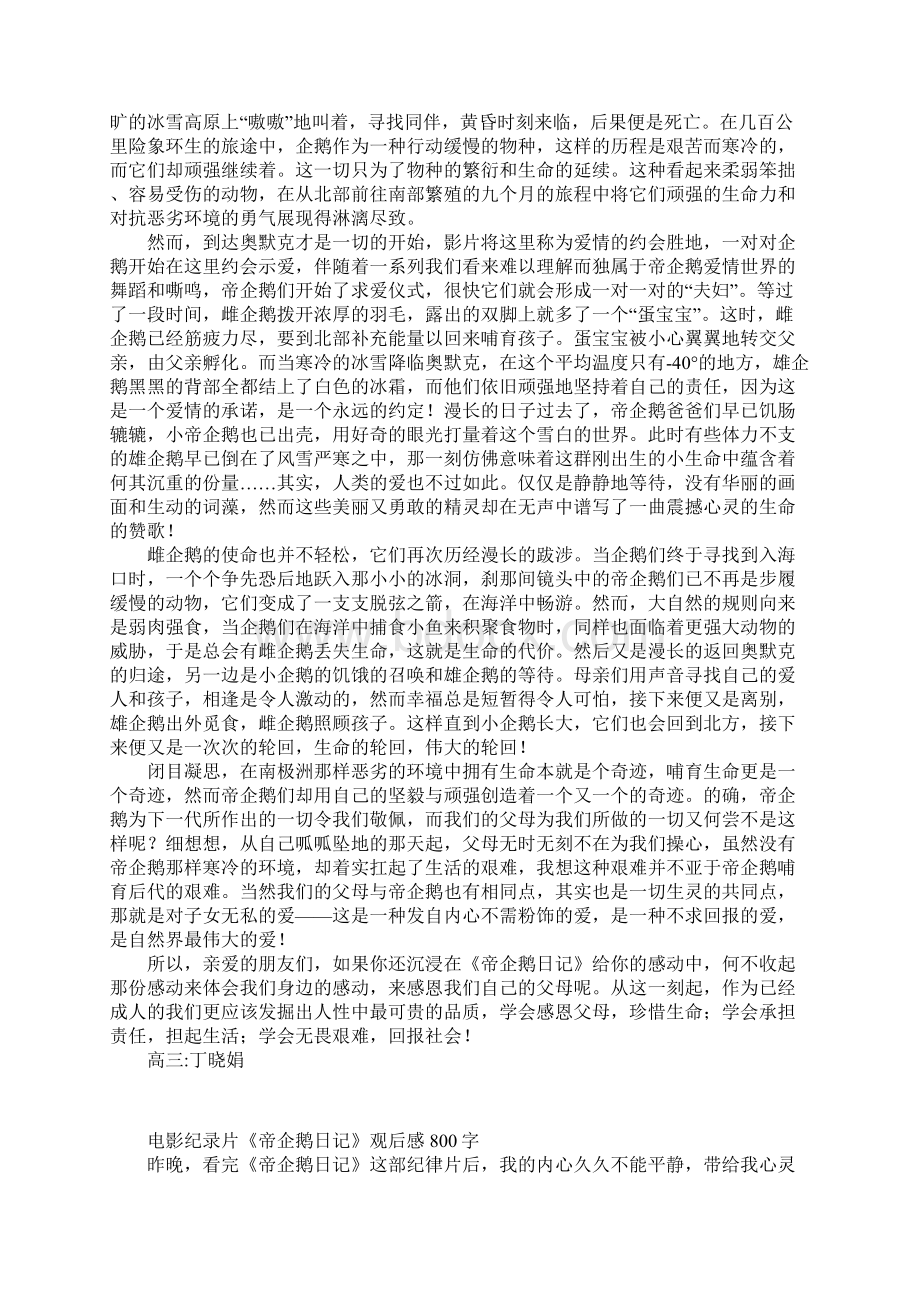 电影纪录片帝企鹅日记观后感800字.docx_第3页