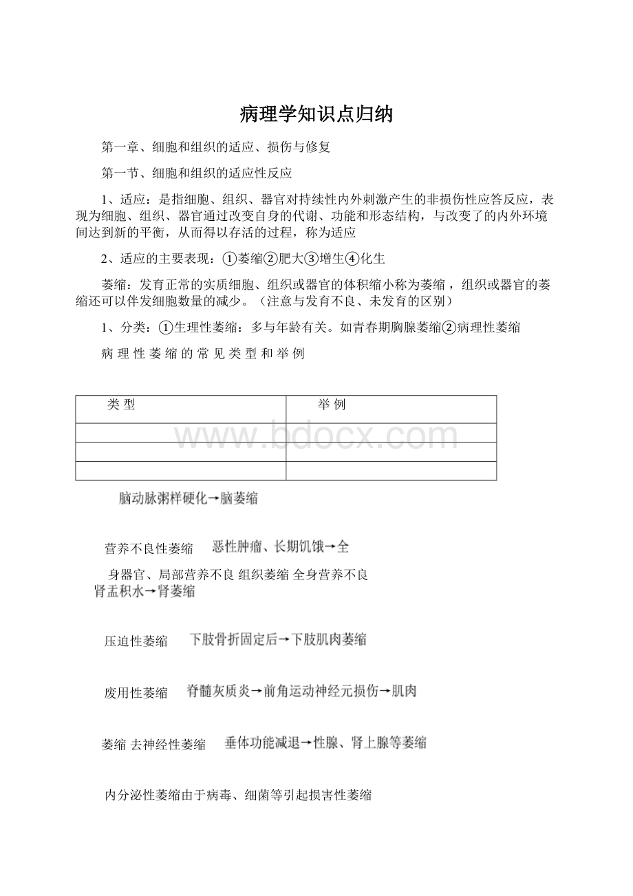 病理学知识点归纳.docx