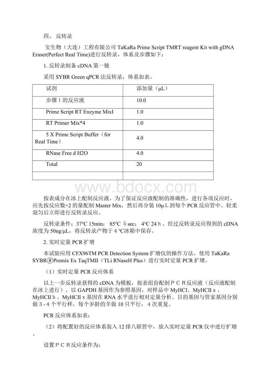 荧光定量PCRWord格式文档下载.docx_第2页