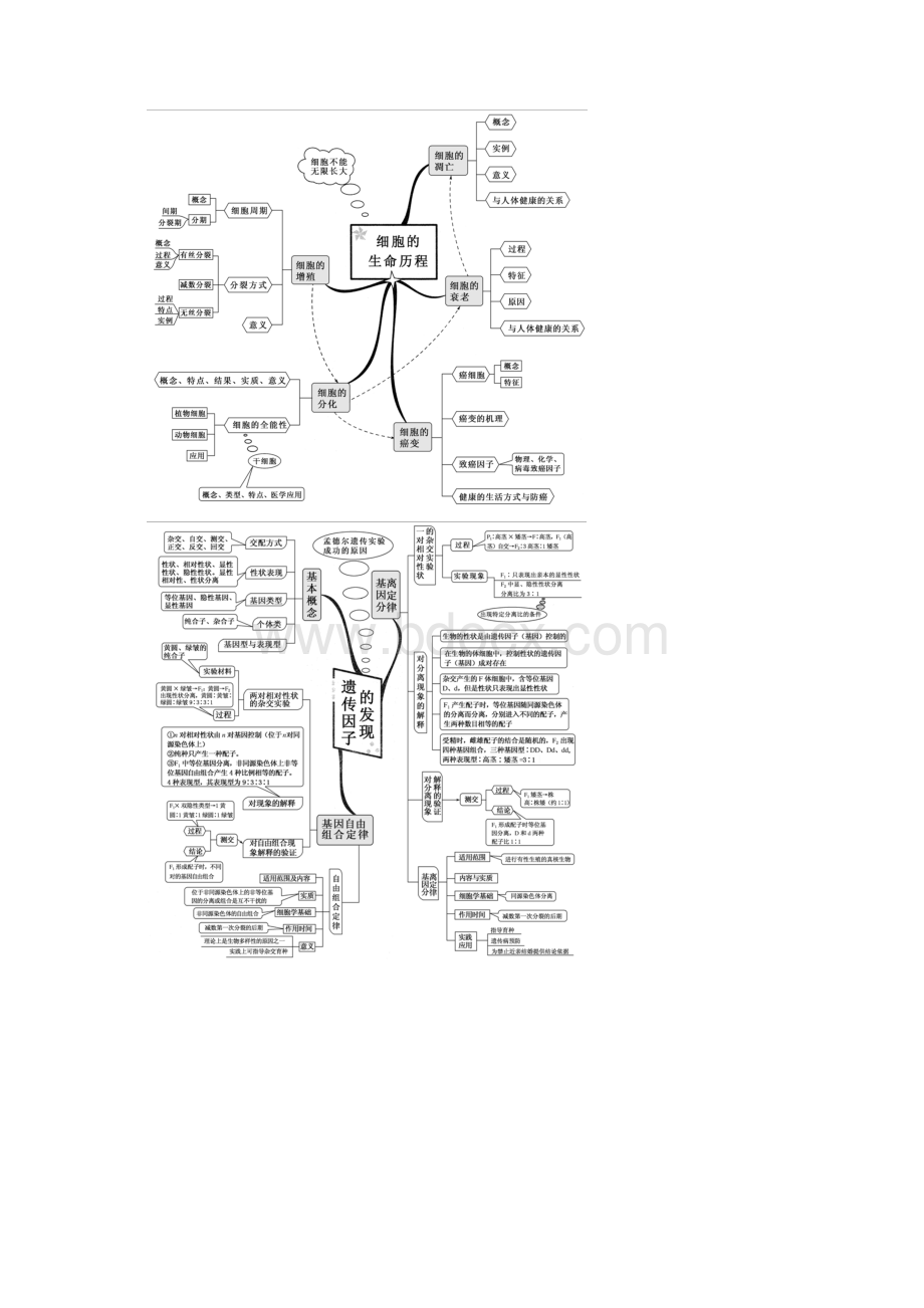 高中生物全套思维导图精编精校版.docx_第3页
