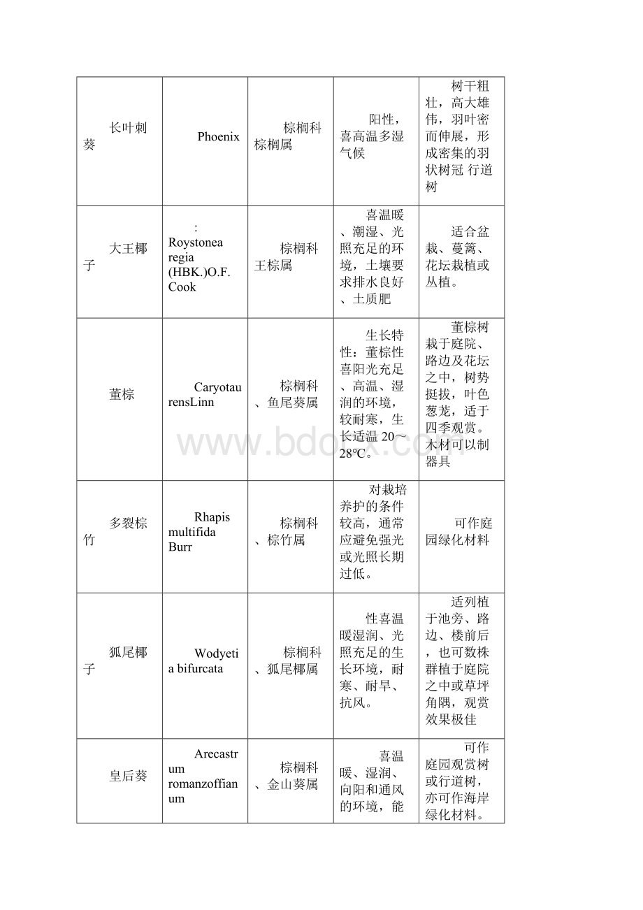 厦门园林植物园实践报告.docx_第2页