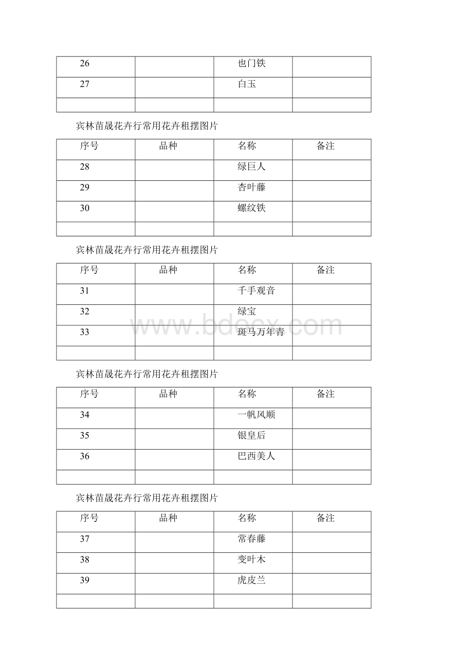 租摆植物图片.docx_第3页