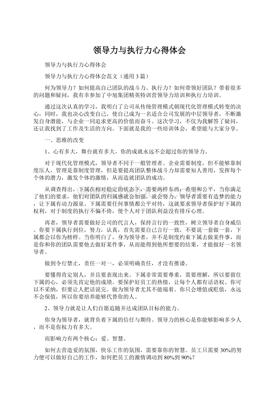 领导力与执行力心得体会Word格式.docx