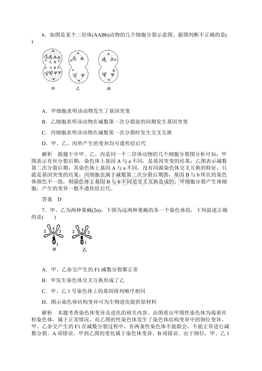 人教版 基因突变及其他变异单元测试.docx_第3页