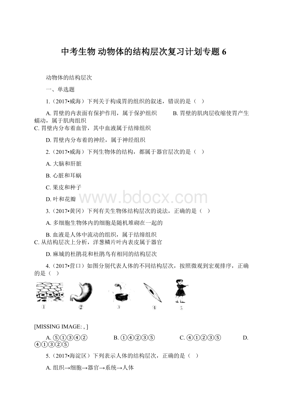 中考生物 动物体的结构层次复习计划专题6.docx_第1页