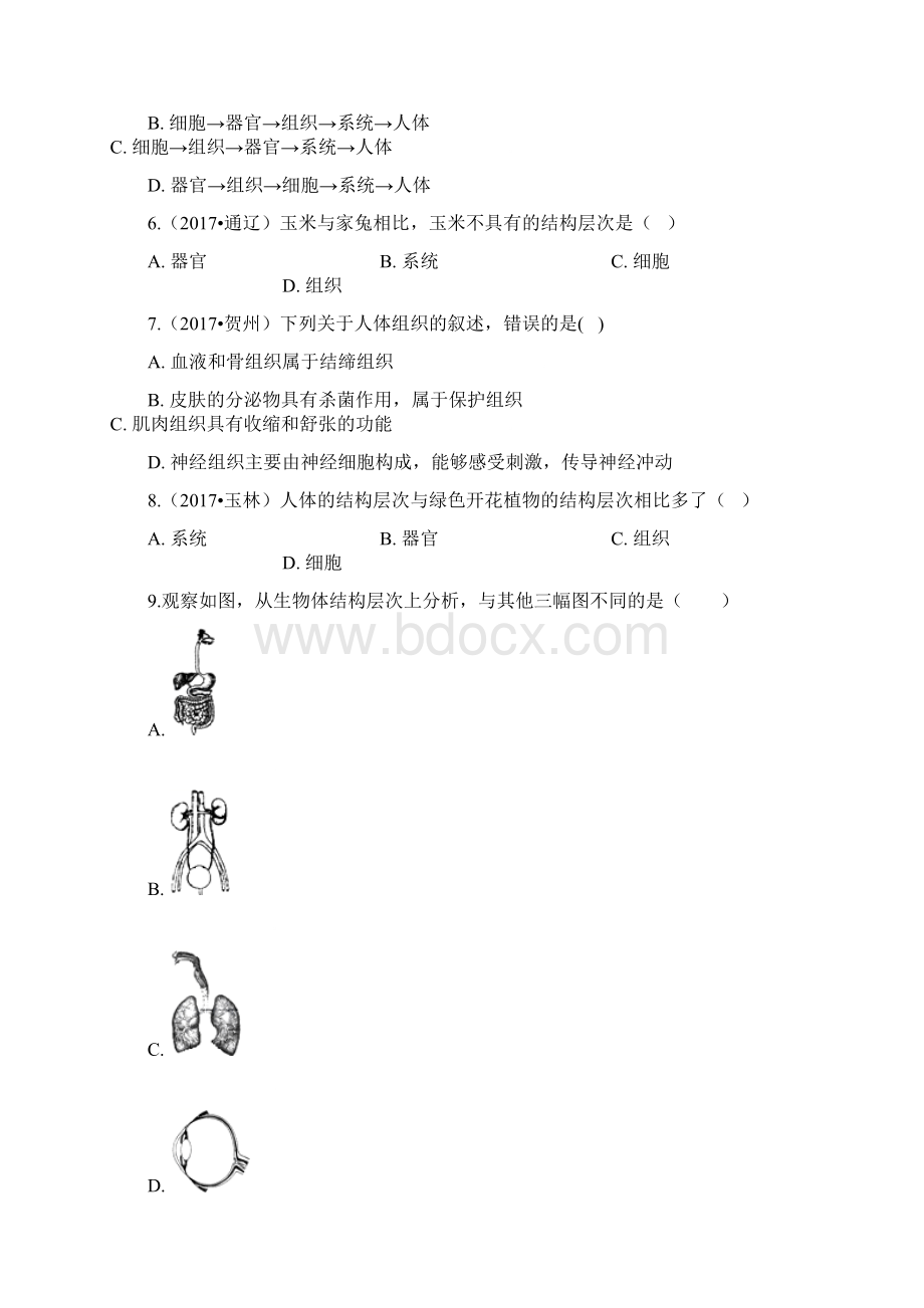 中考生物 动物体的结构层次复习计划专题6.docx_第2页