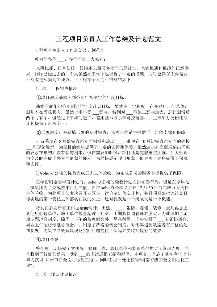 工程项目负责人工作总结及计划范文.docx