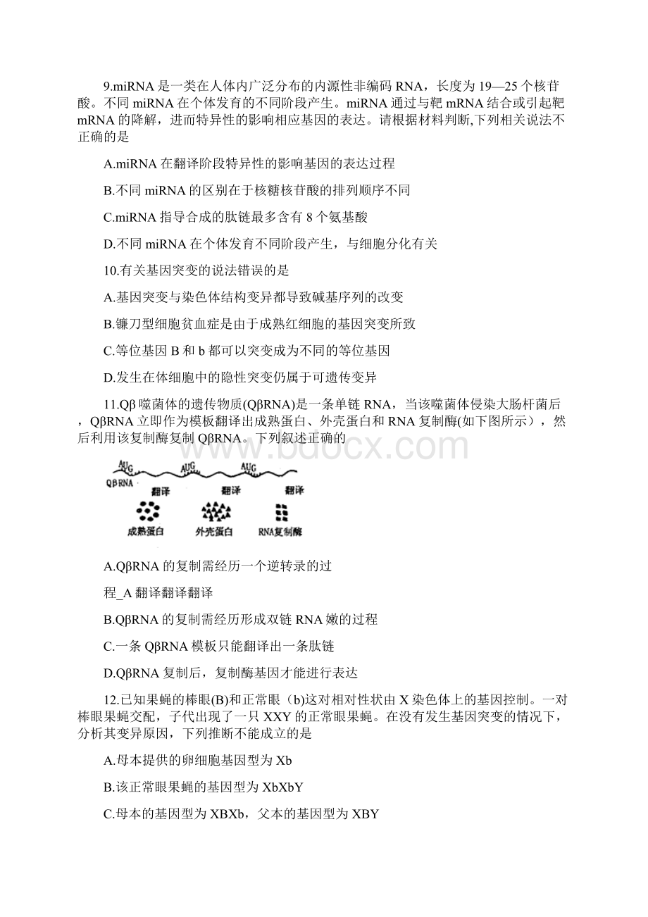 学年河南省洛阳市高二下学期期末考试A卷生物Word文件下载.docx_第3页