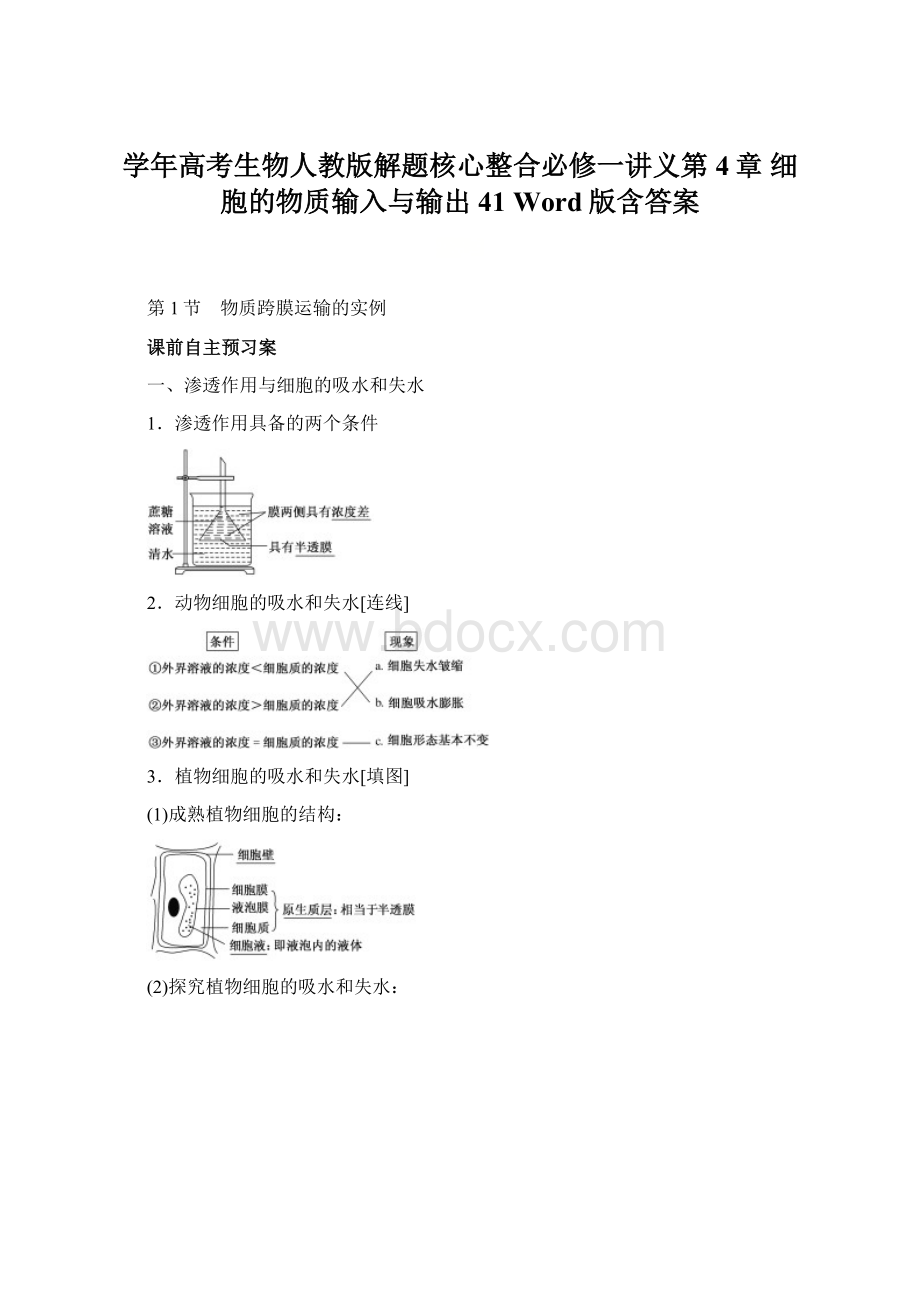 学年高考生物人教版解题核心整合必修一讲义第4章 细胞的物质输入与输出 41 Word版含答案Word文档格式.docx