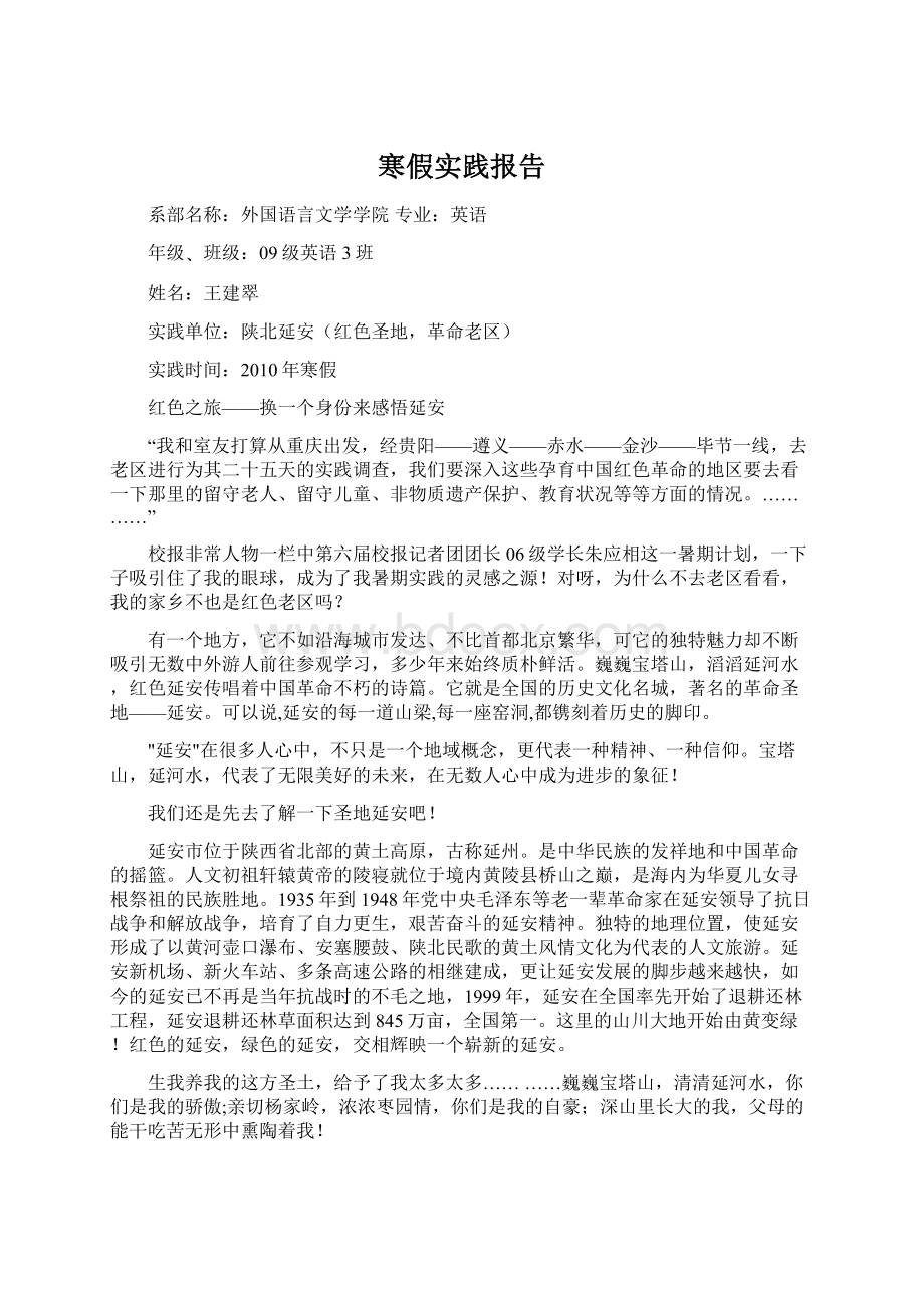 寒假实践报告Word文档下载推荐.docx