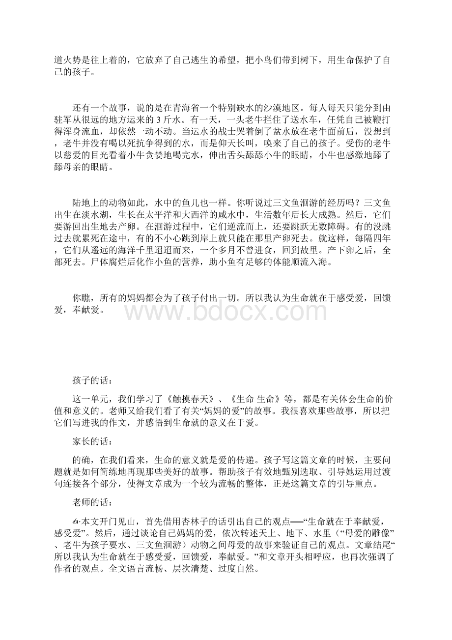 四年级下册第五单元习作.docx_第2页