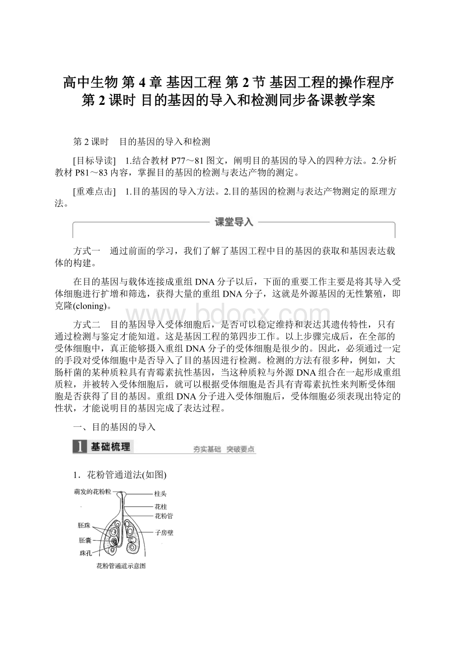 高中生物 第4章 基因工程 第2节 基因工程的操作程序 第2课时 目的基因的导入和检测同步备课教学案.docx_第1页