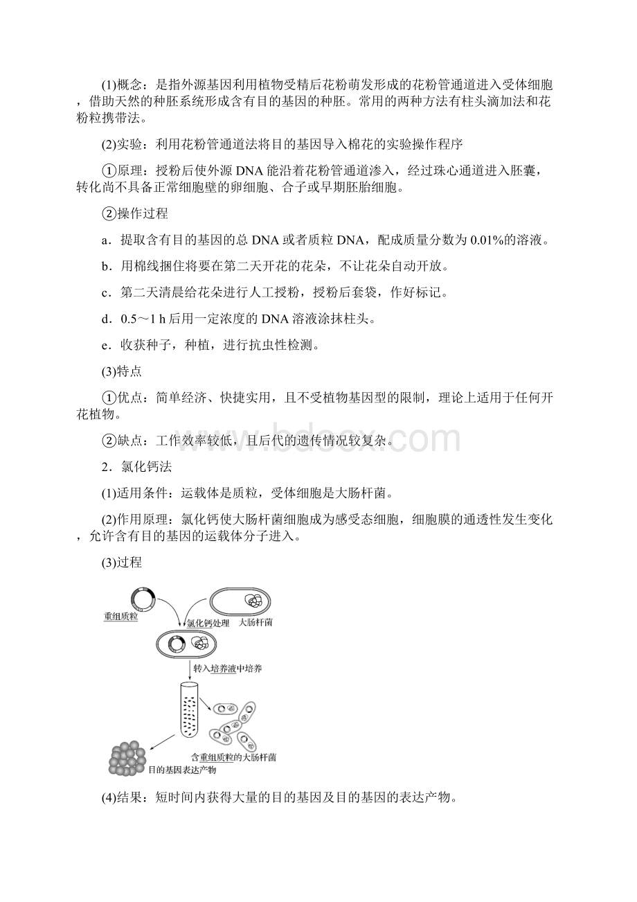 高中生物 第4章 基因工程 第2节 基因工程的操作程序 第2课时 目的基因的导入和检测同步备课教学案Word格式文档下载.docx_第2页