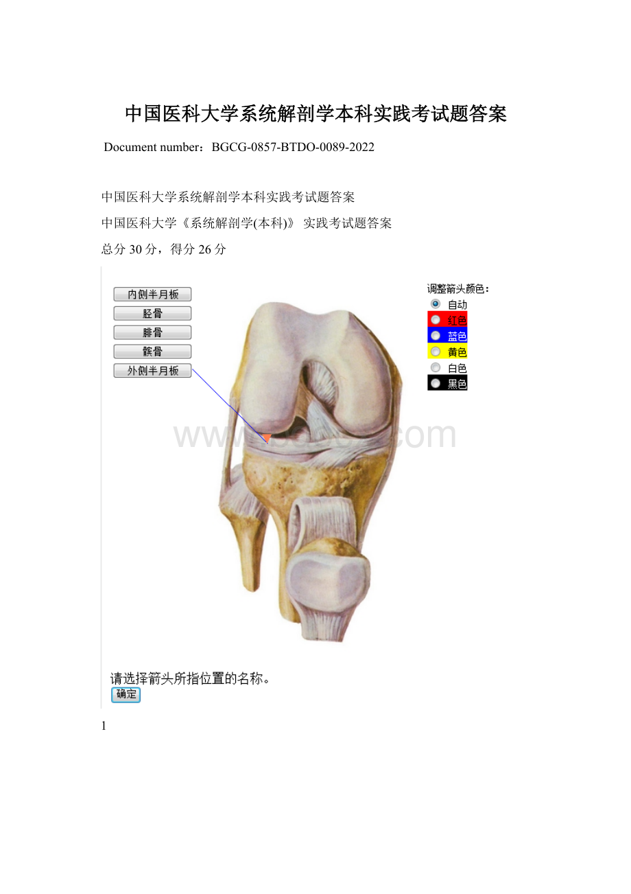 中国医科大学系统解剖学本科实践考试题答案Word格式.docx_第1页