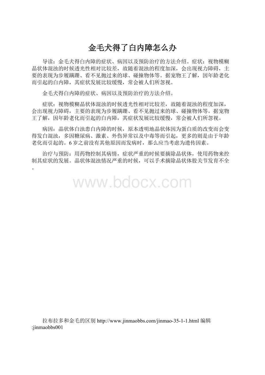 金毛犬得了白内障怎么办Word文件下载.docx