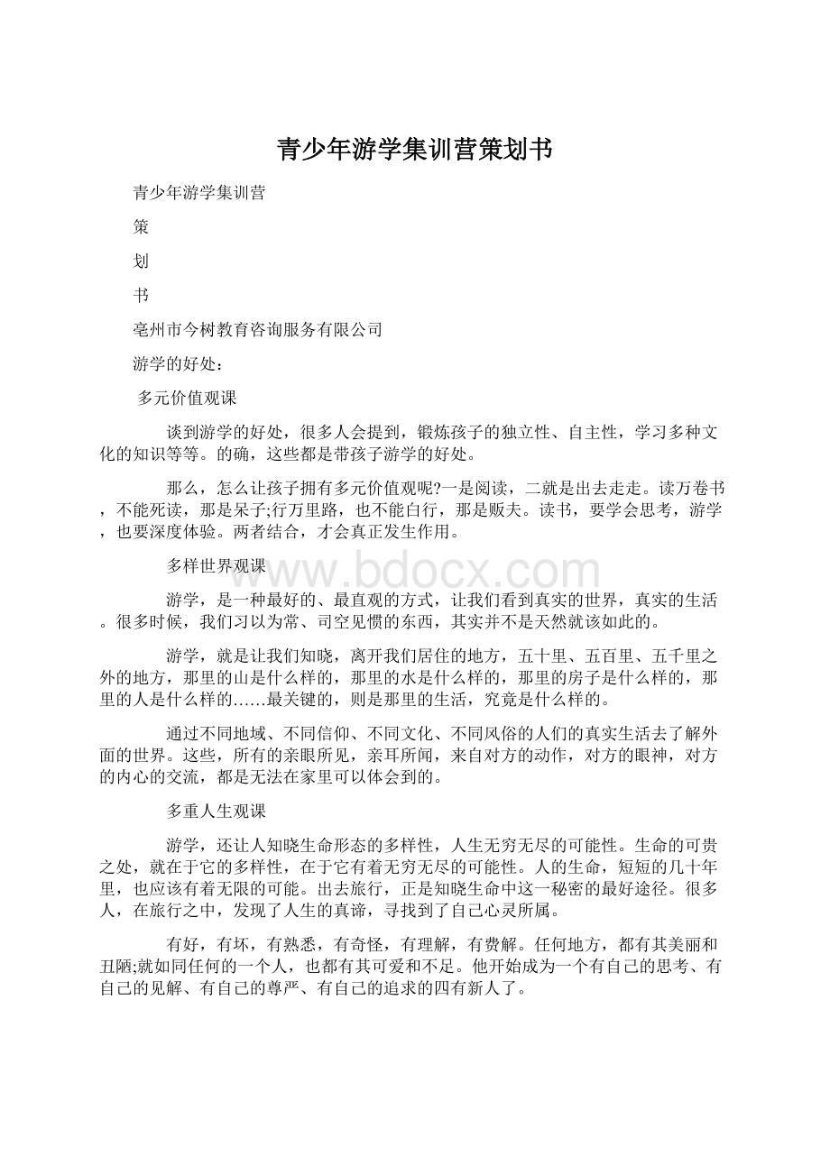 青少年游学集训营策划书.docx