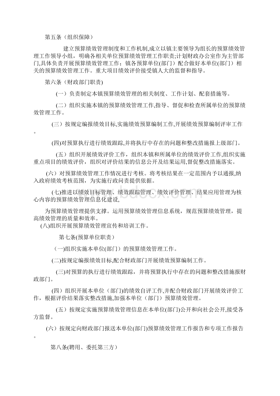 浦东新区南汇新城镇预算绩效管理办法Word文档格式.docx_第2页