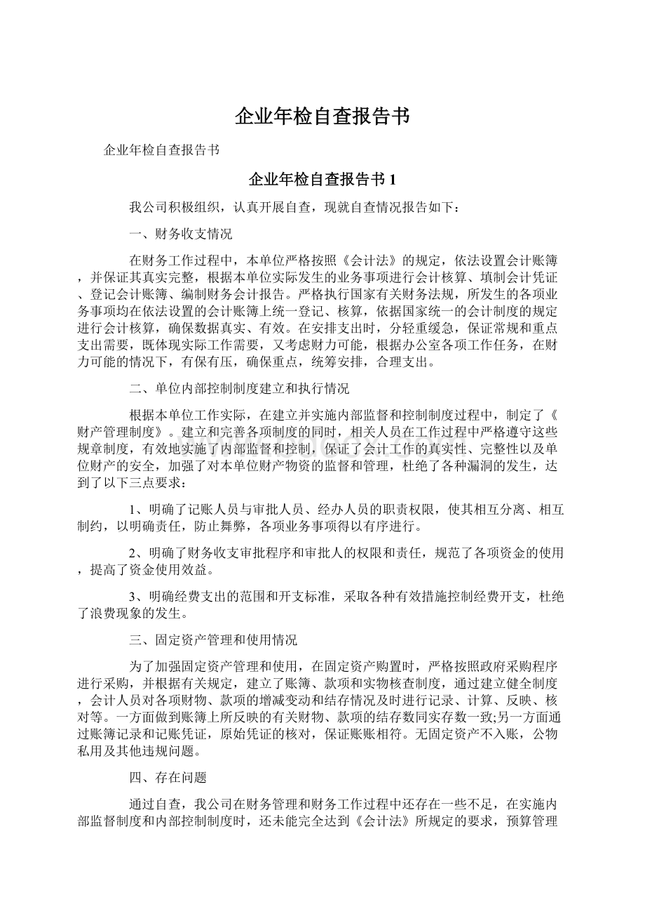 企业年检自查报告书文档格式.docx