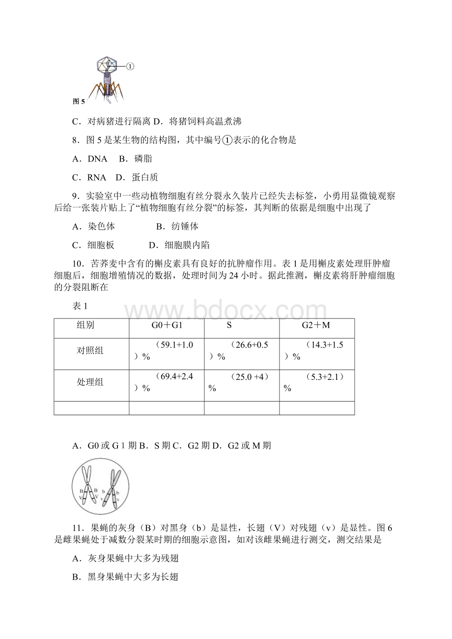 届上海市虹口区高三上学期期终学生学习能力诊断测试一模生命科学试题.docx_第3页