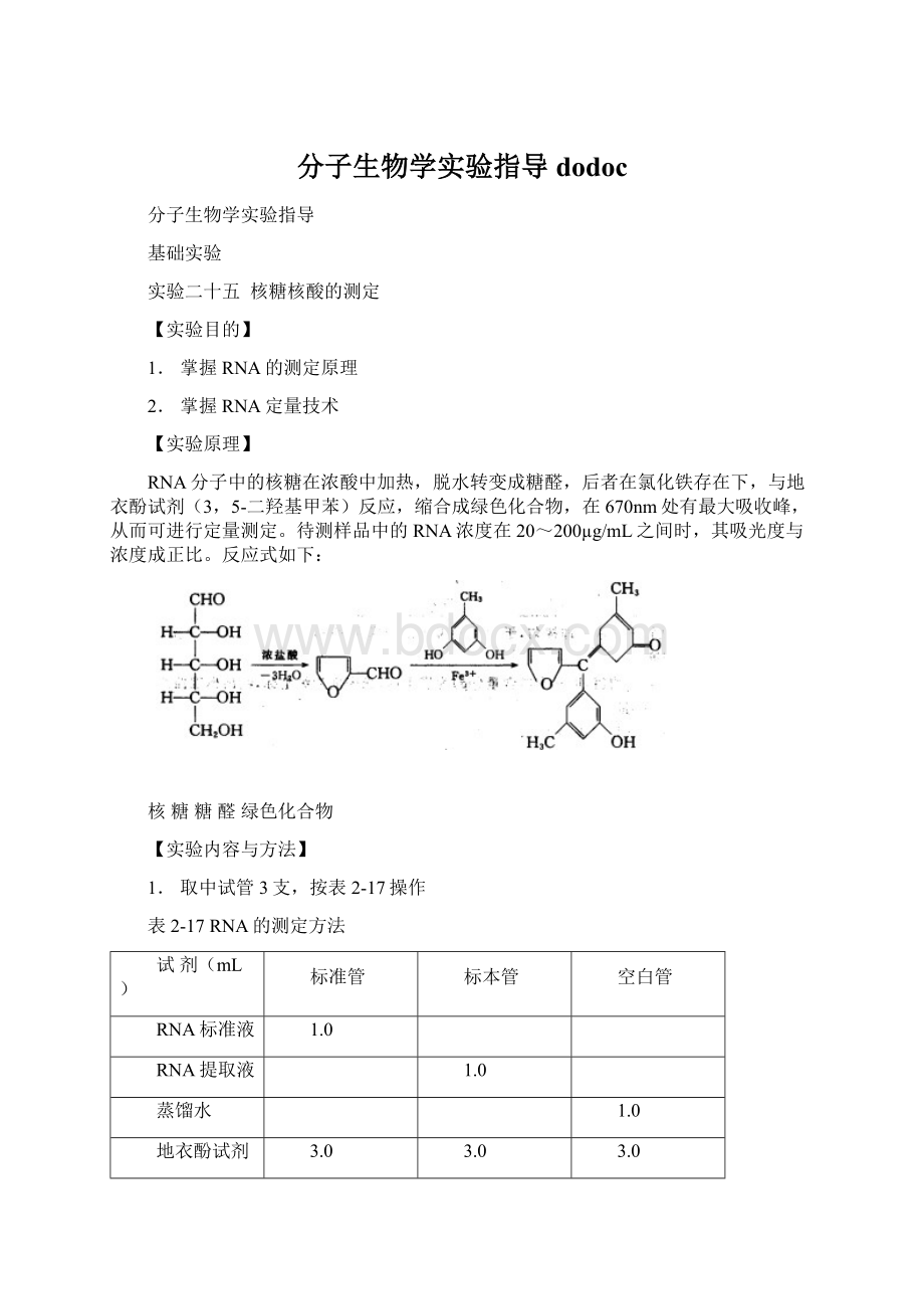 分子生物学实验指导dodocWord下载.docx