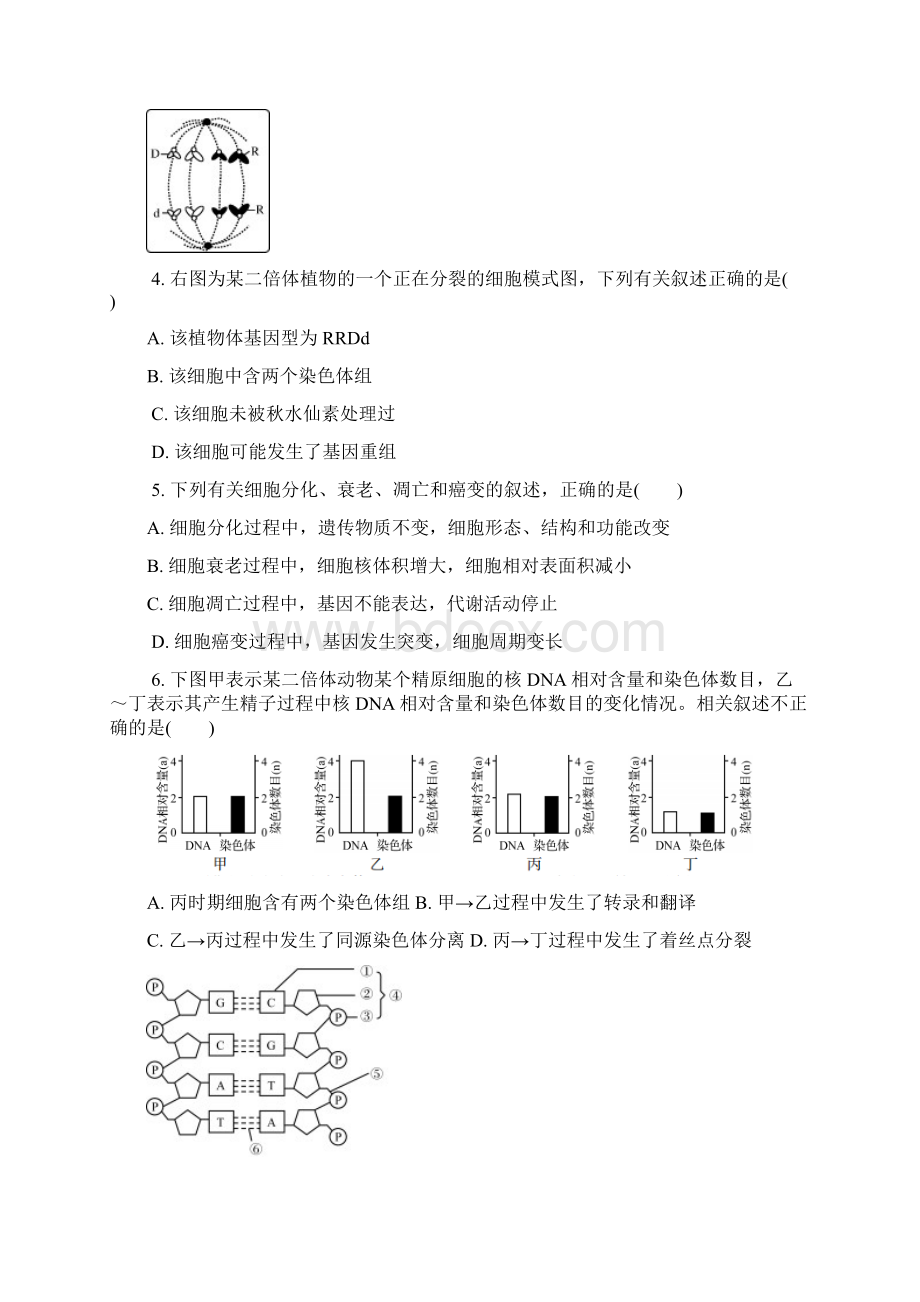 江苏省扬州市届高三第一次模拟考试+生物+Word版含答案.docx_第2页