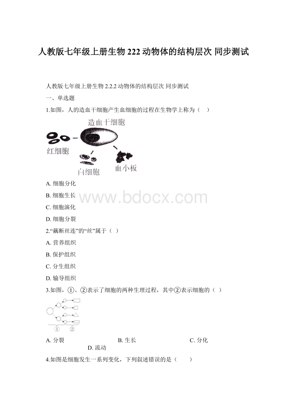 人教版七年级上册生物 222动物体的结构层次 同步测试Word下载.docx_第1页