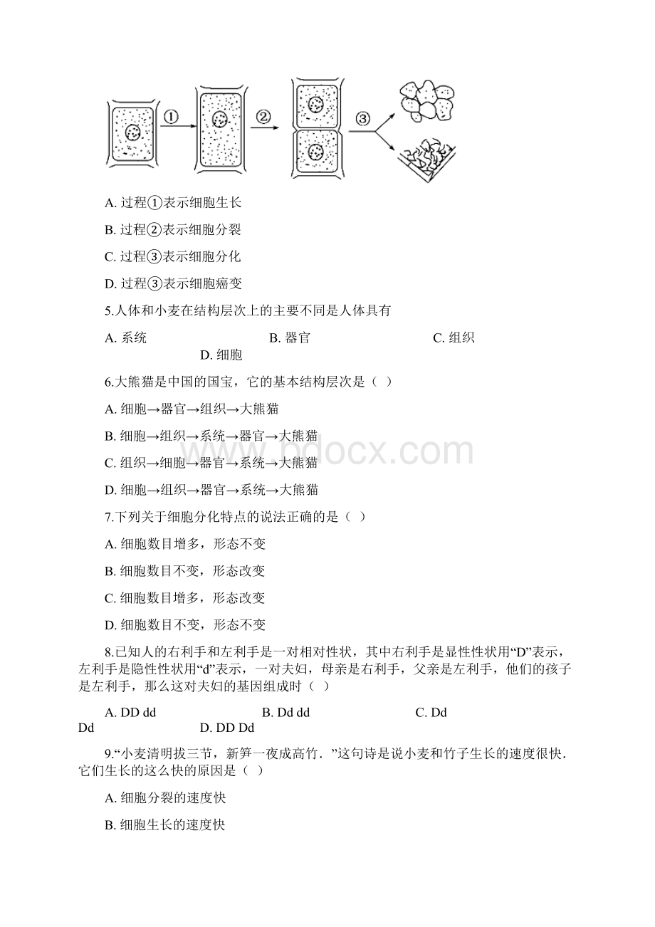 人教版七年级上册生物 222动物体的结构层次 同步测试.docx_第2页