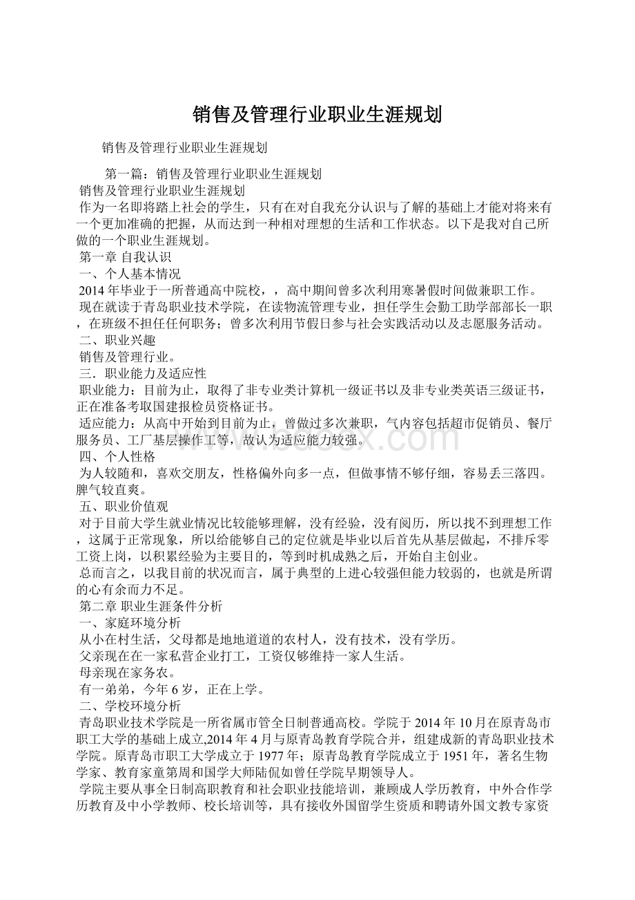 销售及管理行业职业生涯规划.docx