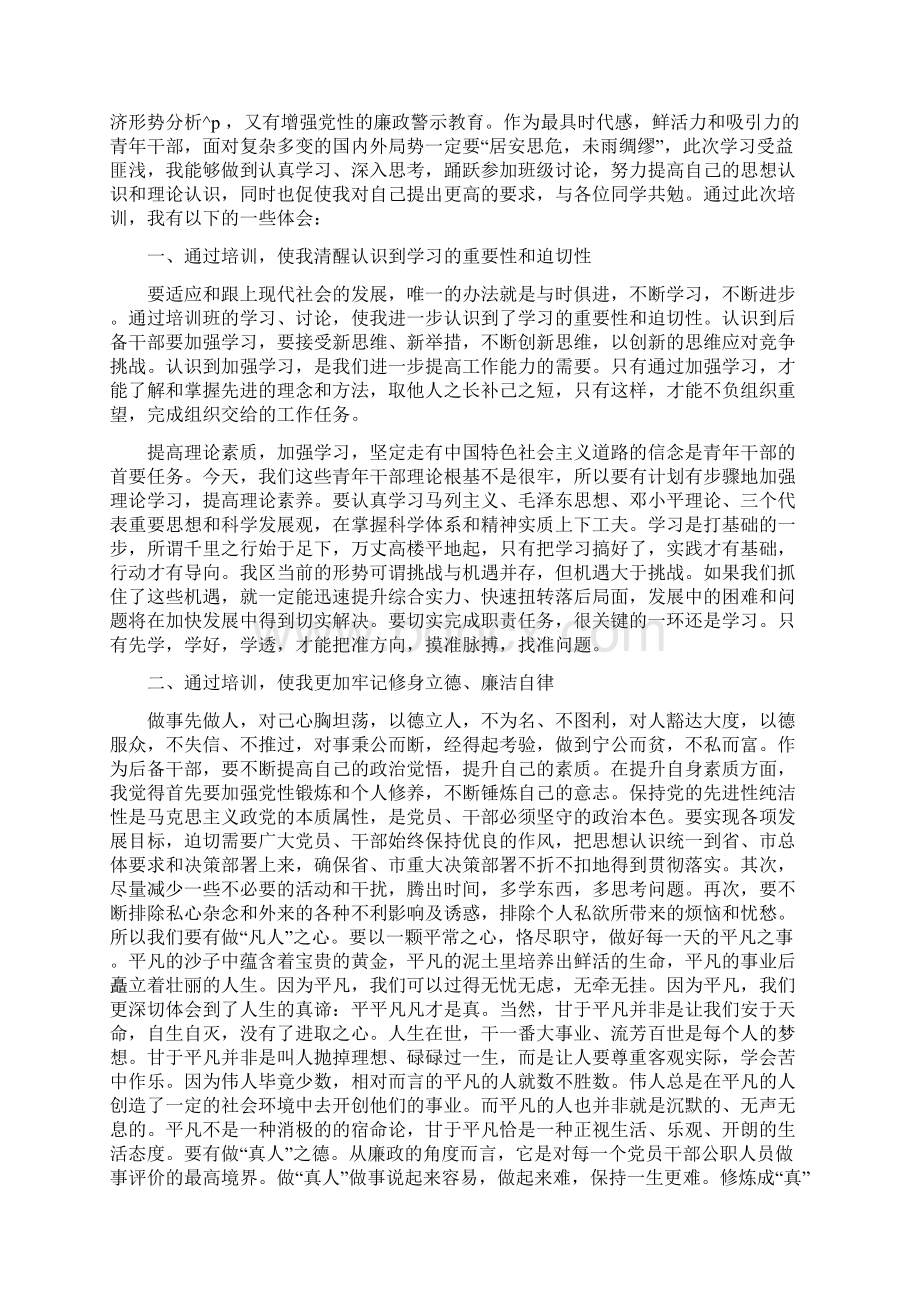 优秀青年干部培训心得分享 优秀青年干部培训班.docx_第3页