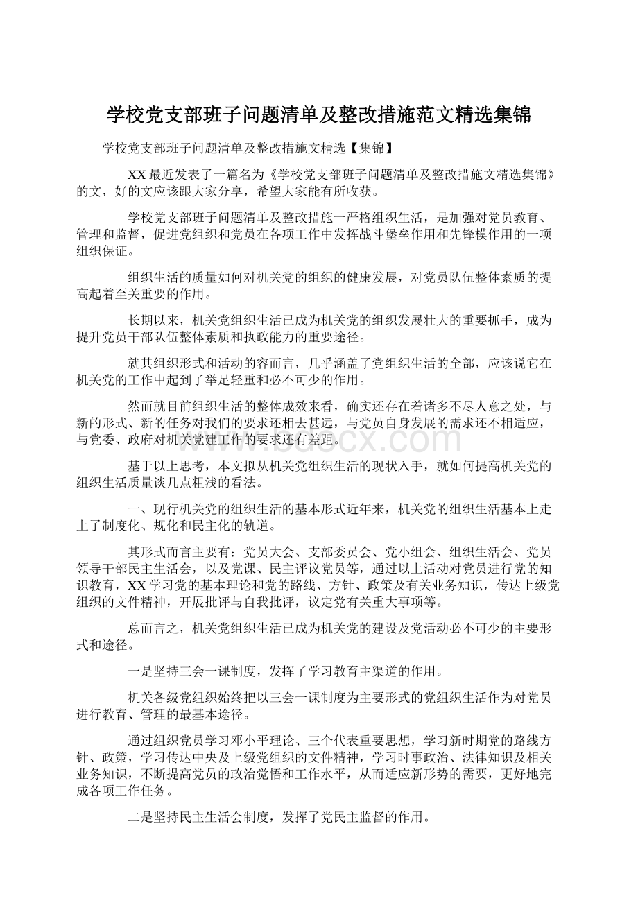 学校党支部班子问题清单及整改措施范文精选集锦Word格式.docx