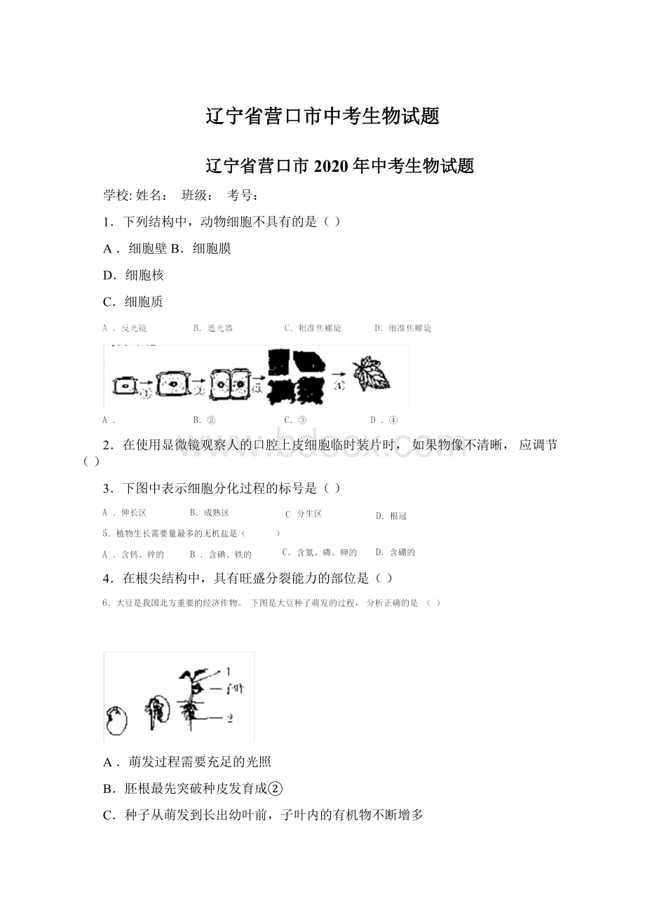 辽宁省营口市中考生物试题Word格式.docx