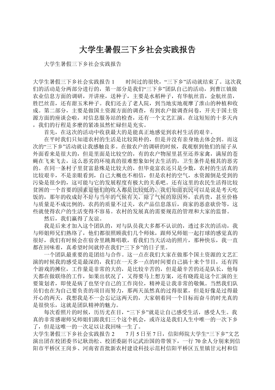 大学生暑假三下乡社会实践报告文档格式.docx