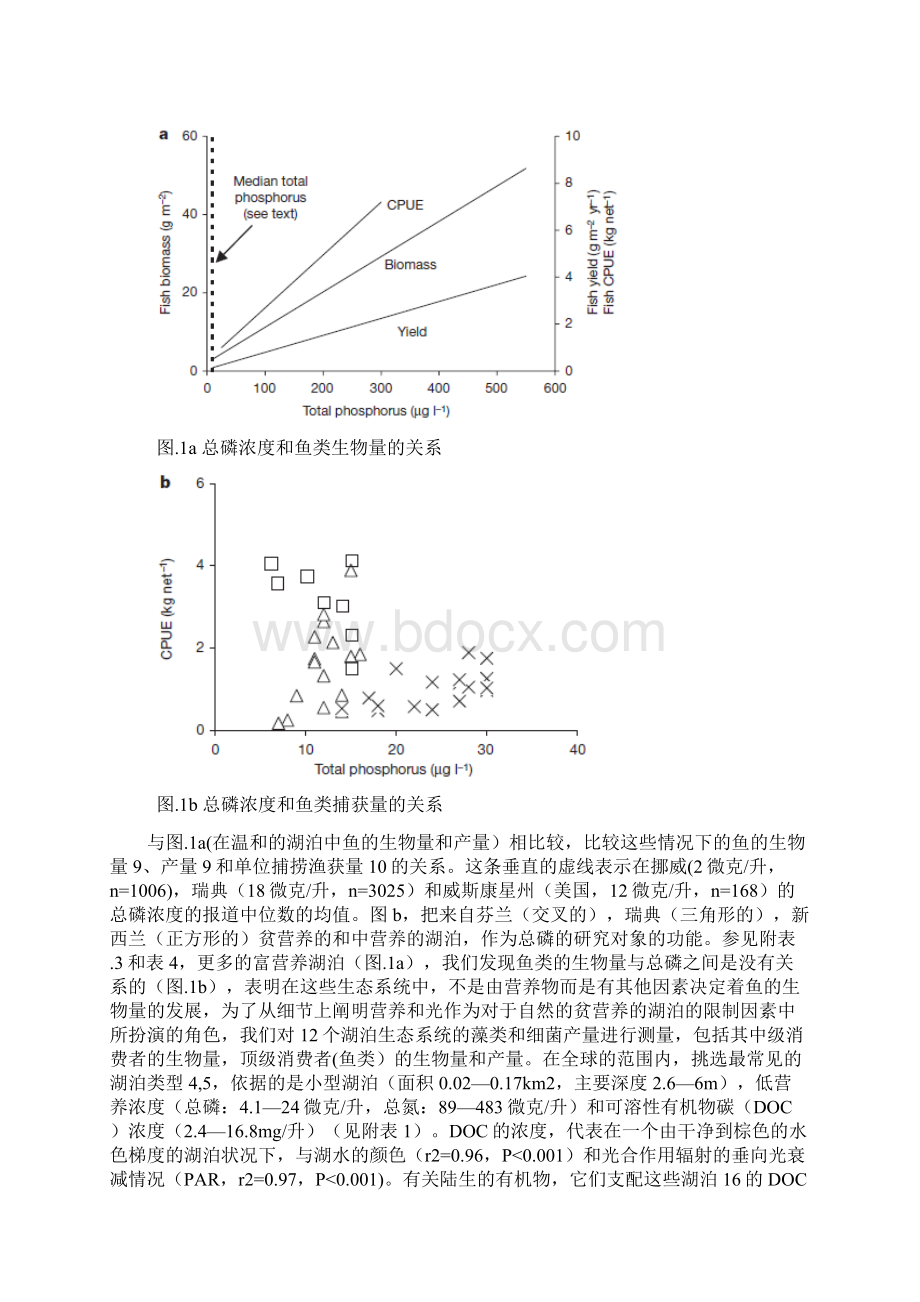 光对贫营养湖泊生态系统的限制.docx_第3页