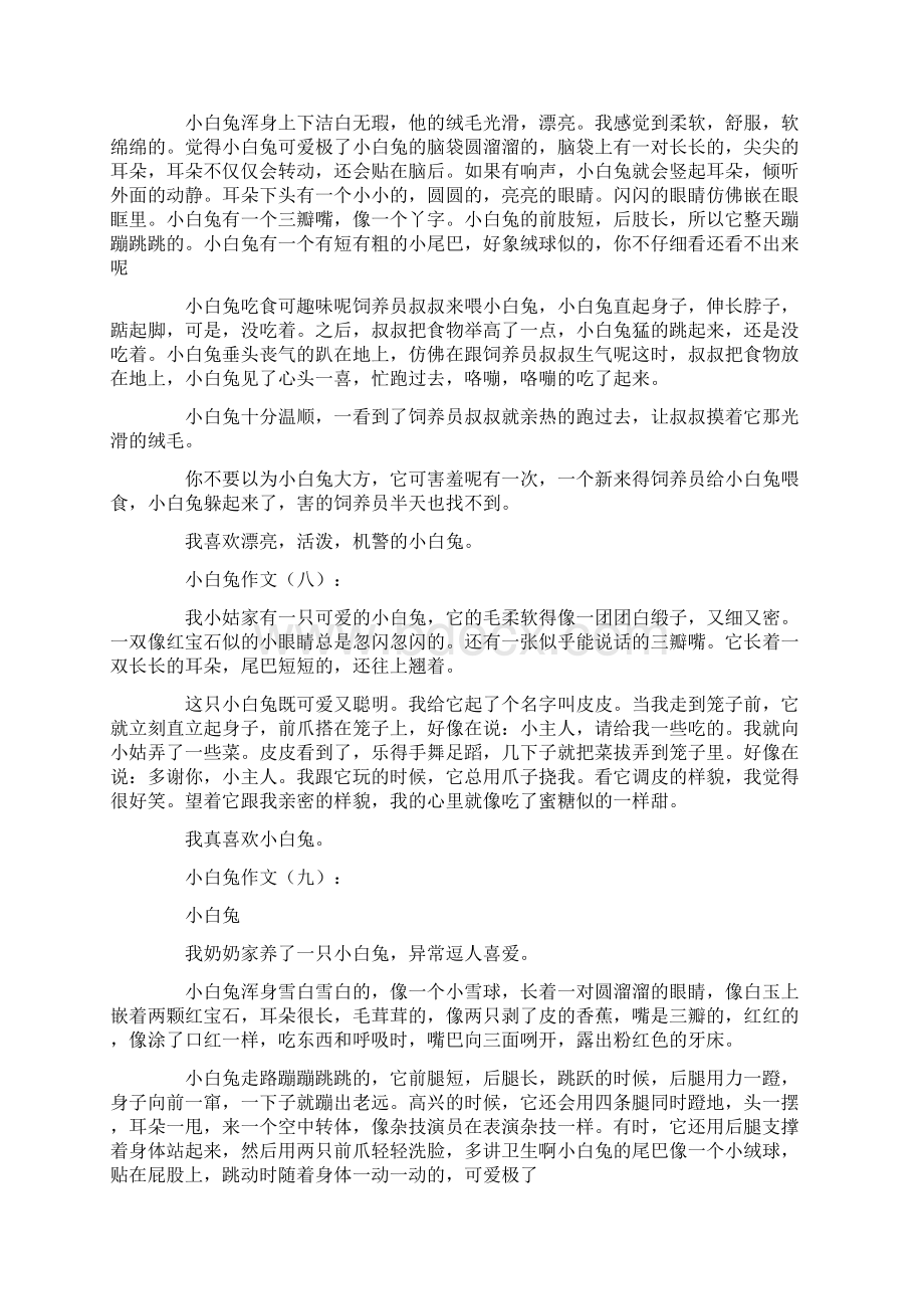 小白兔作文40篇文档格式.docx_第2页