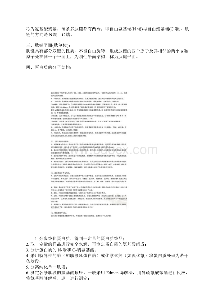 生物化学笔记完整版Word文档下载推荐.docx_第2页