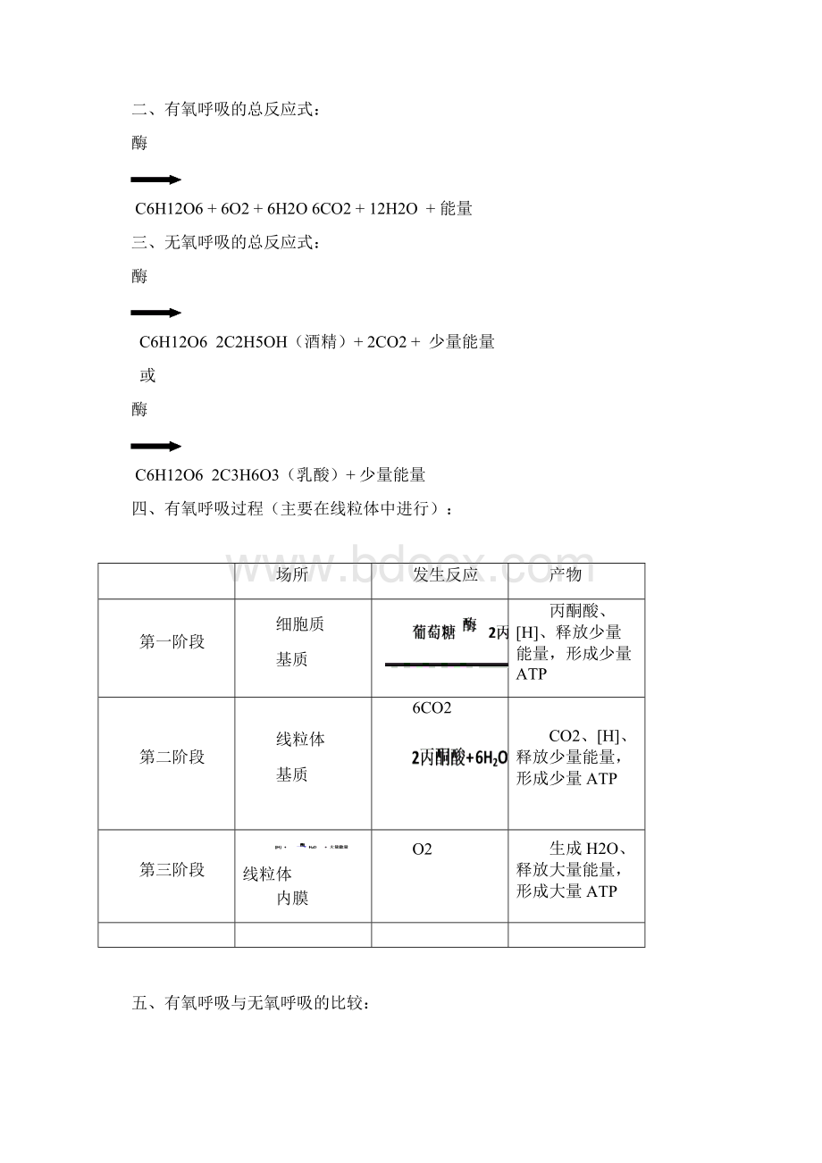 呼吸作用和光合作用知识点及经典习题.docx_第3页