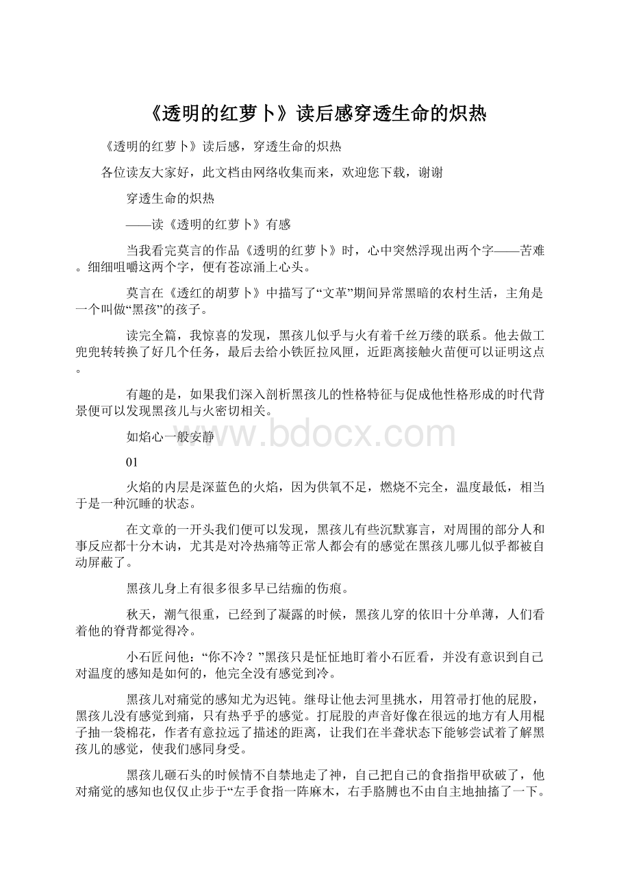 《透明的红萝卜》读后感穿透生命的炽热.docx