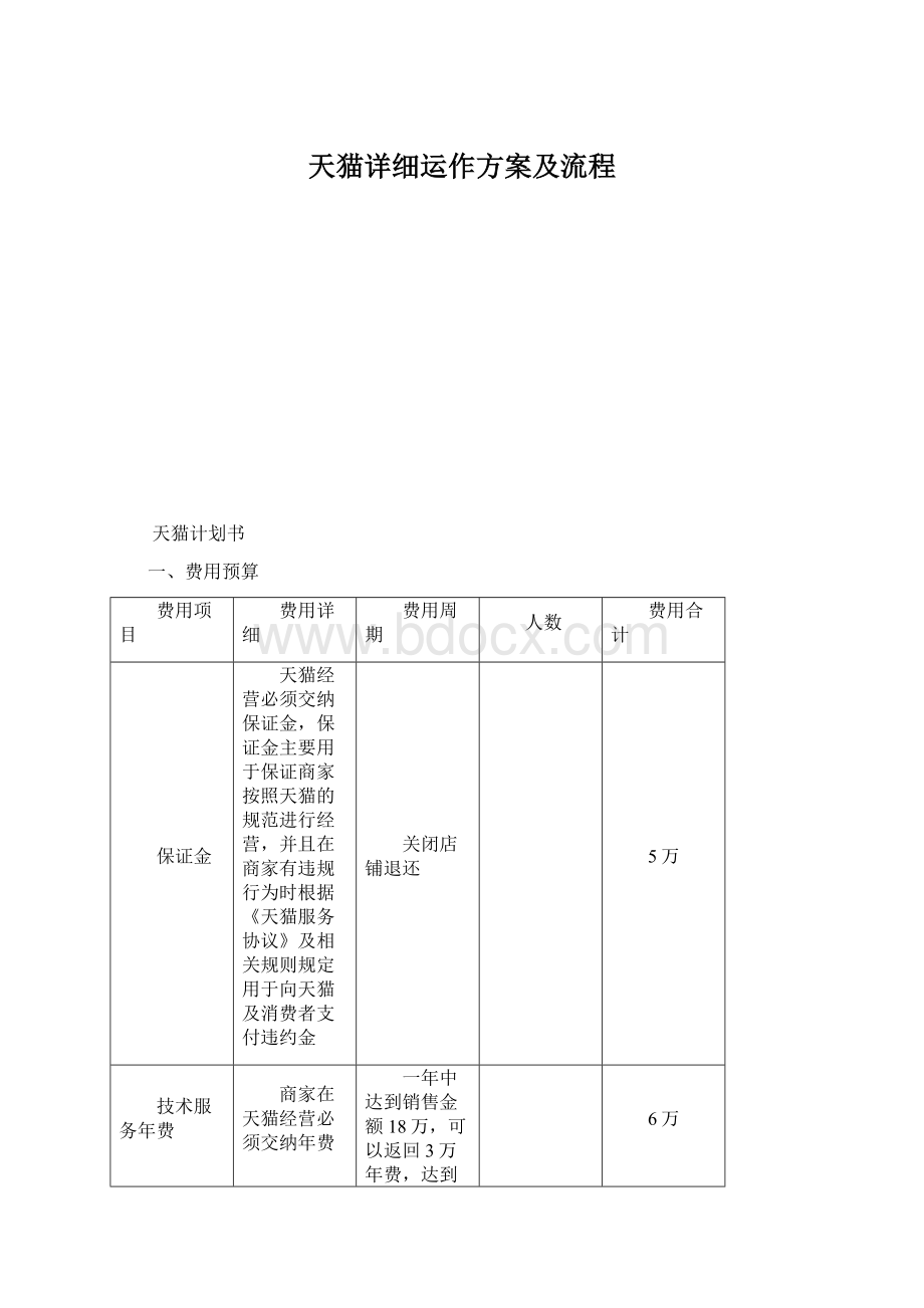 天猫详细运作方案及流程.docx_第1页