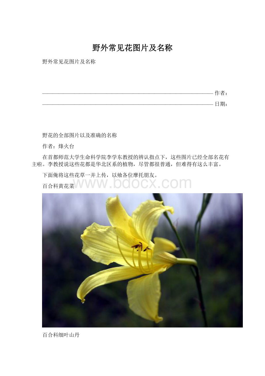 野外常见花图片及名称文档格式.docx_第1页