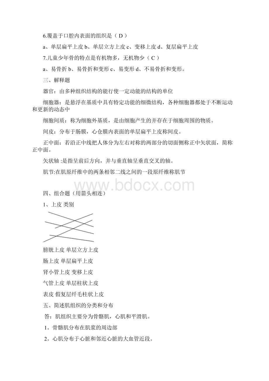 运动解剖学练习题Word文件下载.docx_第2页