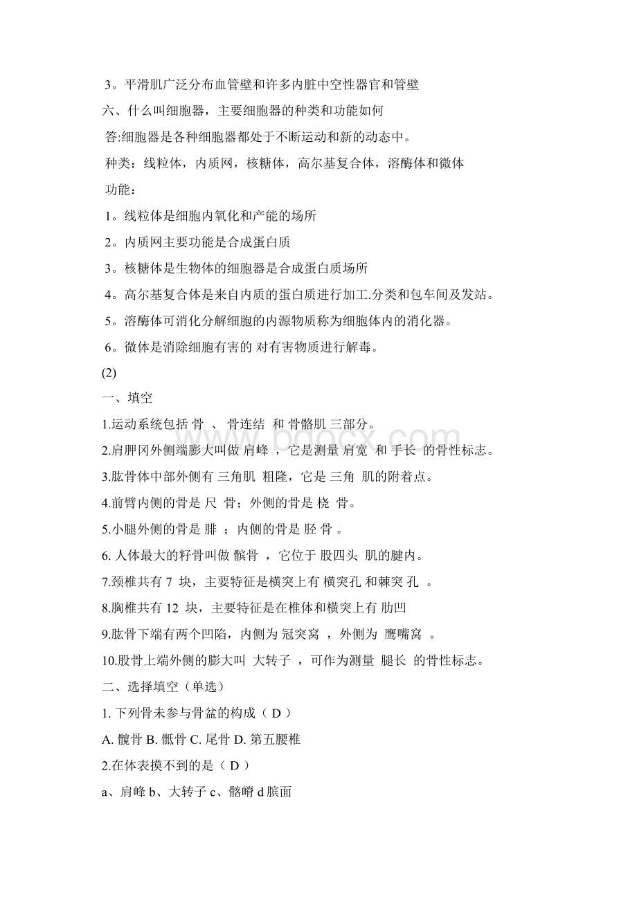 运动解剖学练习题Word文件下载.docx_第3页