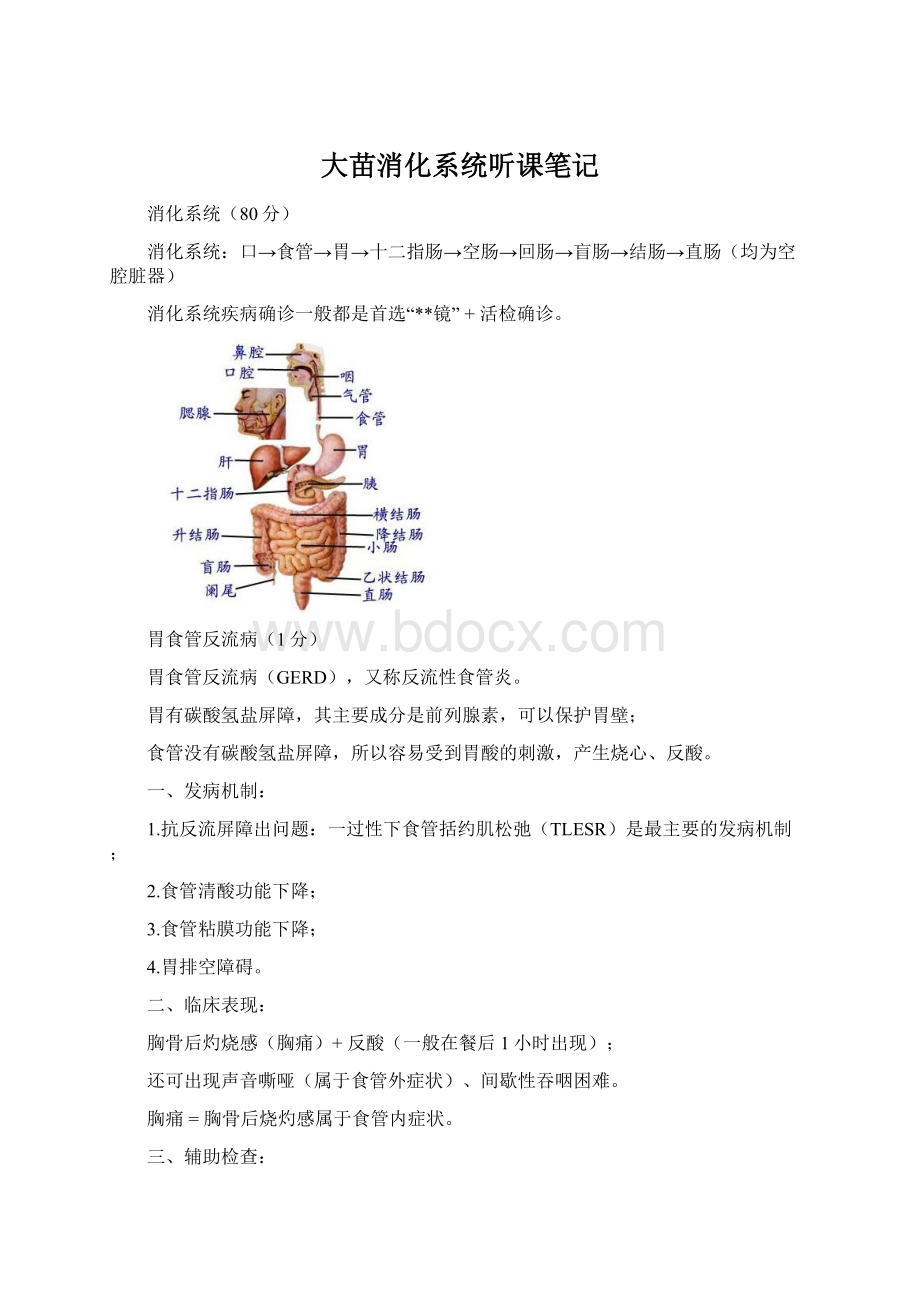 大苗消化系统听课笔记Word格式.docx_第1页