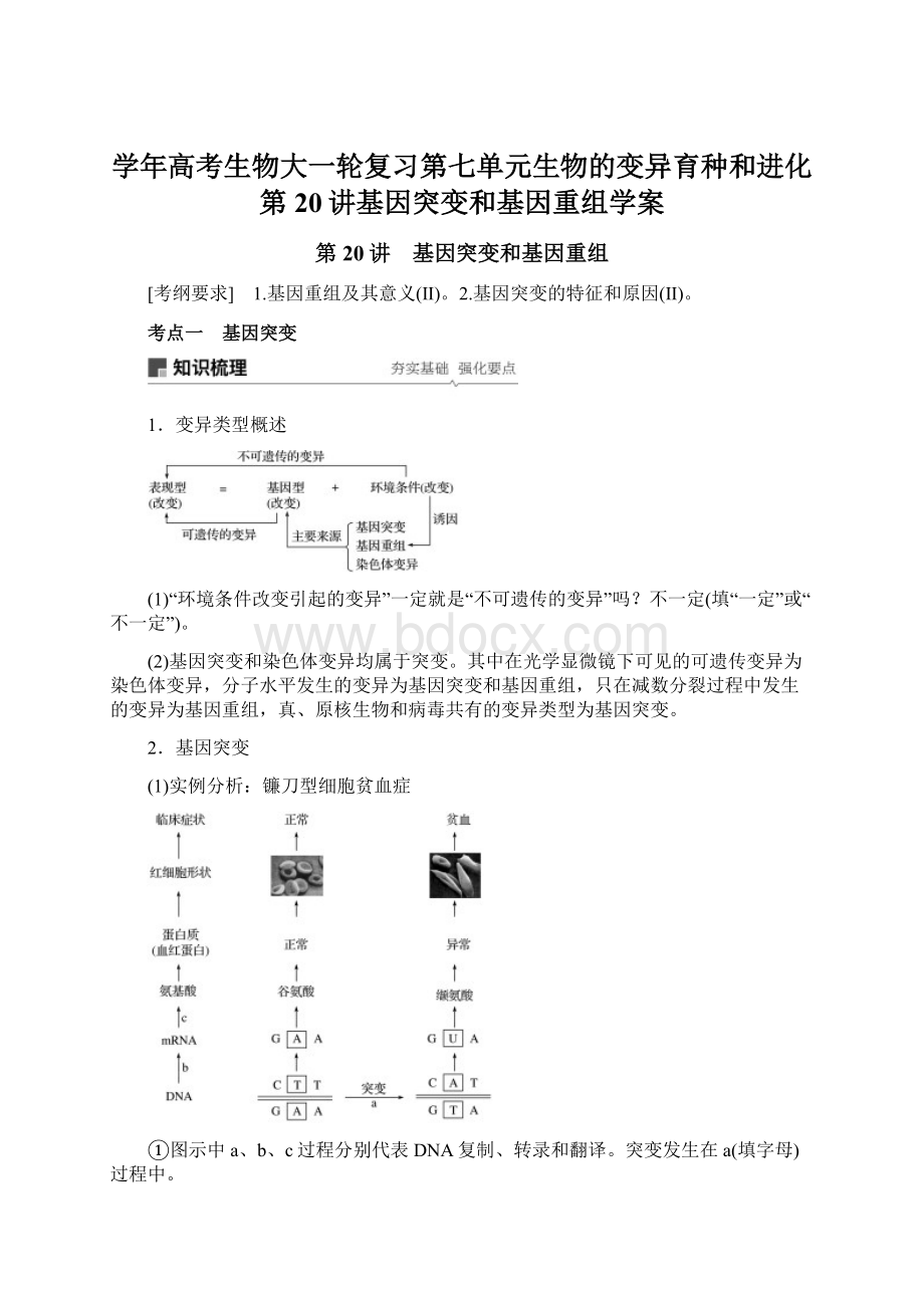 学年高考生物大一轮复习第七单元生物的变异育种和进化第20讲基因突变和基因重组学案.docx_第1页