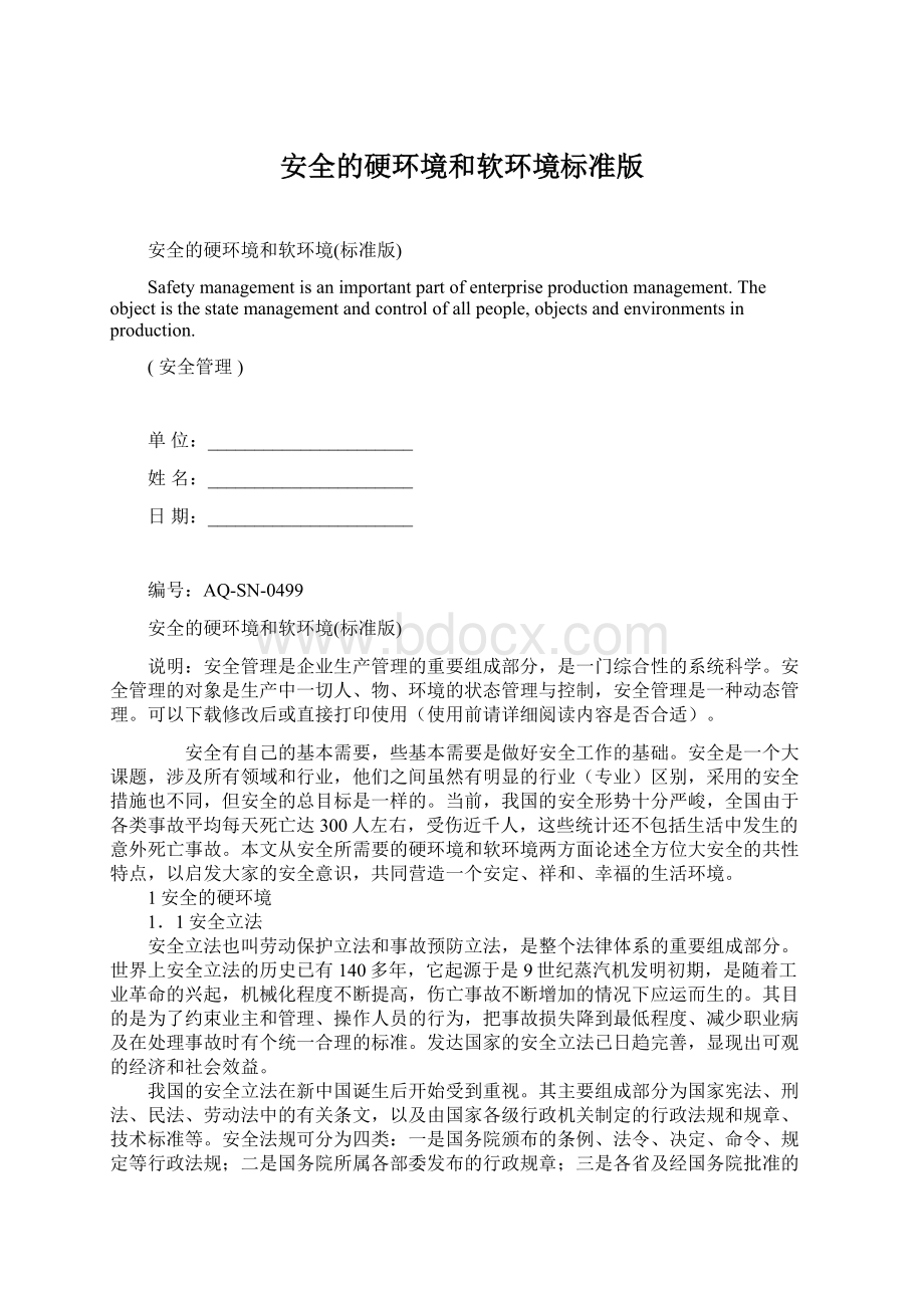 安全的硬环境和软环境标准版Word文档格式.docx