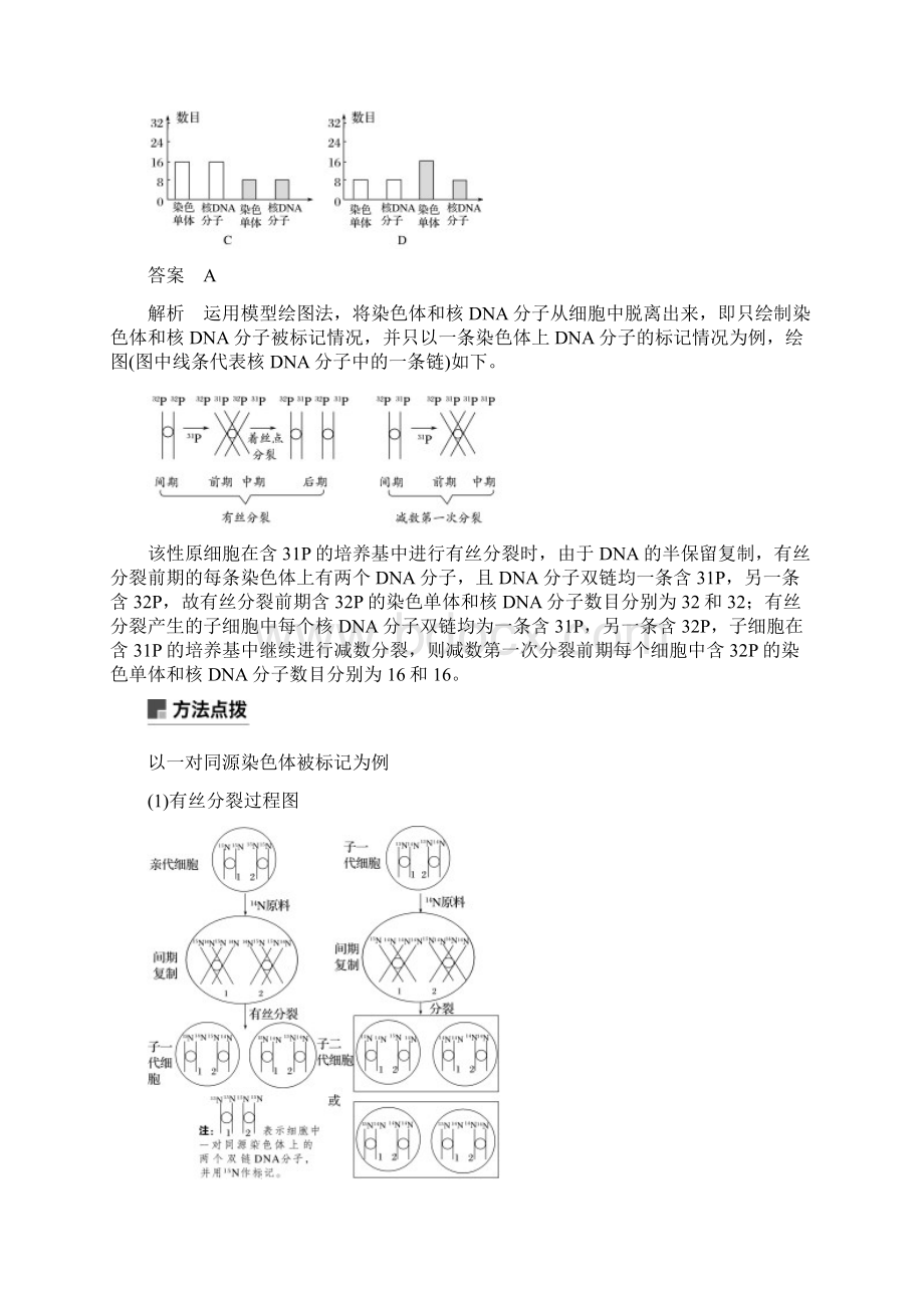 全国通用版高考生物二轮复习专题四遗传的分子基础变异与进化小专题4同位素标记法与DNA的半保留复制学案.docx_第2页