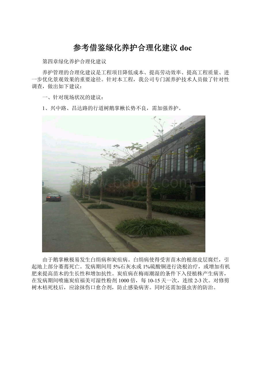 参考借鉴绿化养护合理化建议doc.docx