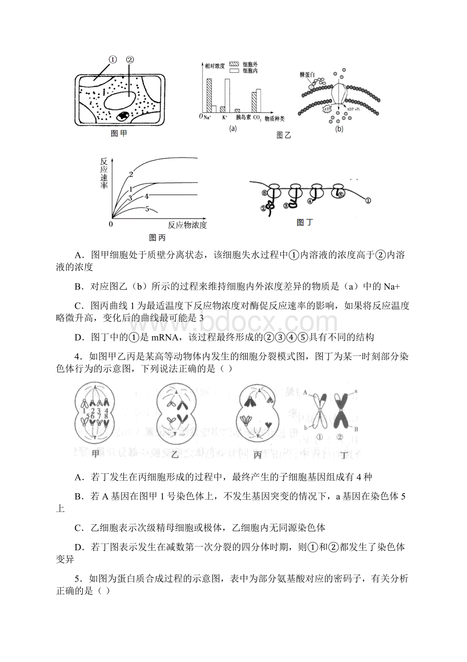 邓州市一高中复习班第六次周练理综试题.docx_第2页