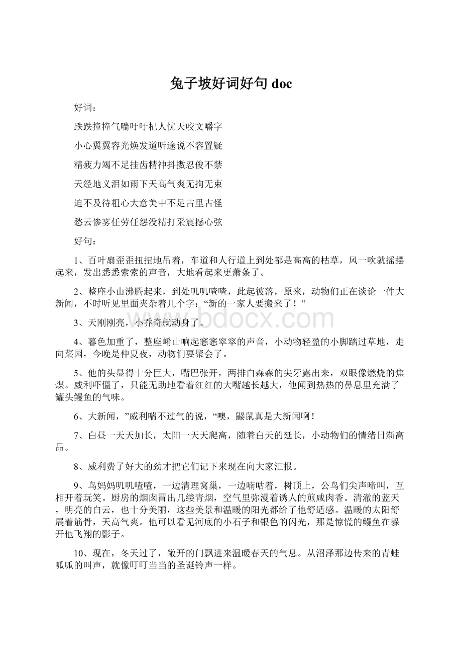 兔子坡好词好句doc.docx