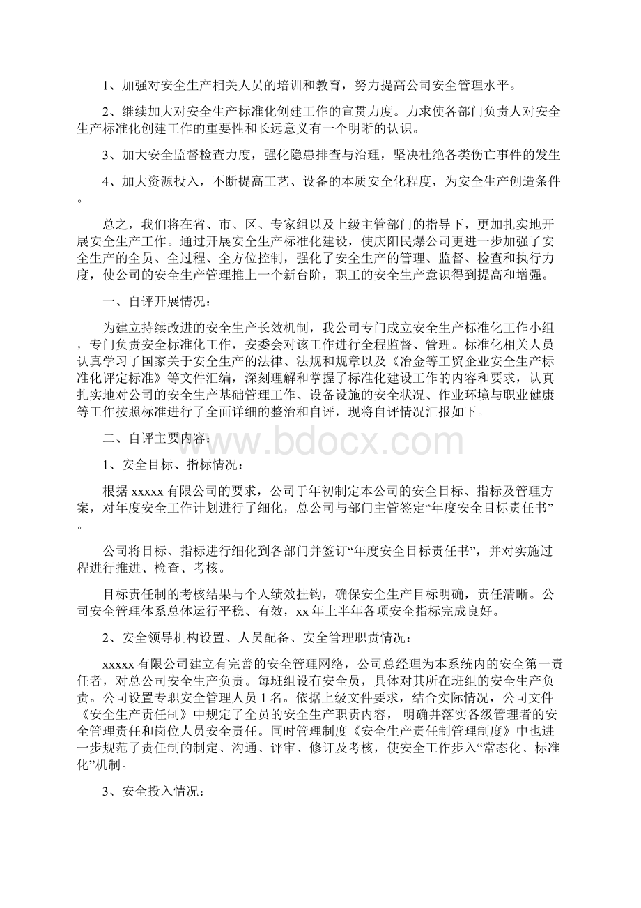 安全生产标准化自评报告78470Word文档格式.docx_第2页