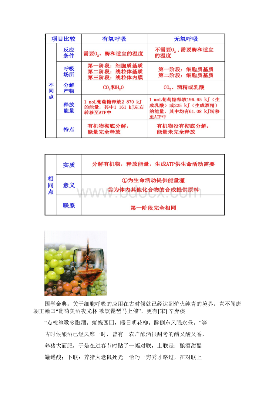 课题1《果酒和果醋的制作》教学案Word格式文档下载.docx_第3页